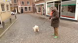 Ontroerende foto van Johan Derksen en zijn hond Cuby duikt op
