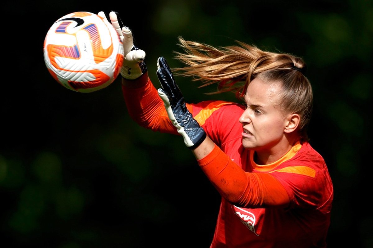 dapne van domselaar keeper van nederlands vrouwenelftal oranje leeuwinnen