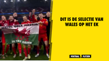 Dit is de selectie van Wales op het EK