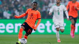 Oranje-legioen in de ban van Summerville: 'Memphis lekker bankzitten'