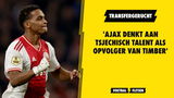 'Ajax denkt aan Tsjechisch talent als opvolger van Timber'