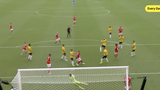 benfica auckland