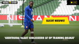 Lutsharel Geertruida is geblesseerd uitgevallen op de afsluitende training van het Nederlands elftal in aanloop naar het EK-kwalificatieduel met Ierland van zondagavond.