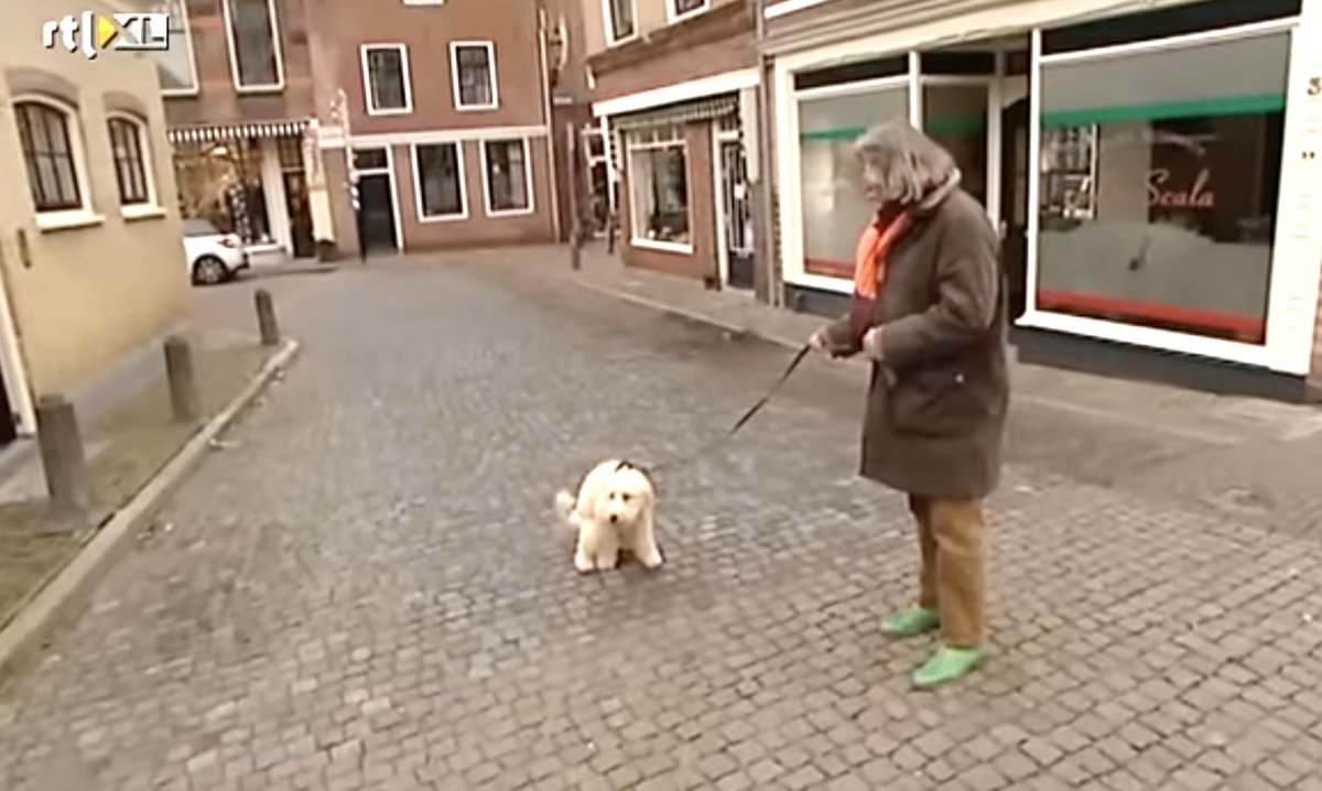 Johan Derksen met zijn trouwe viervoeter Cuby, die twaalf jaar lang niet van zijn zijde week.