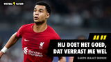 Gakpo maakt indruk: "Hij doet het goed, dat verrast me wel"